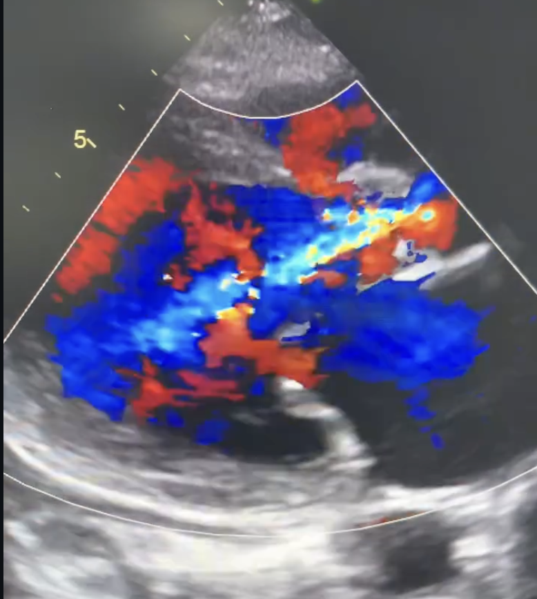 Screenshot 2025-12-05 at 12.43.50 PM