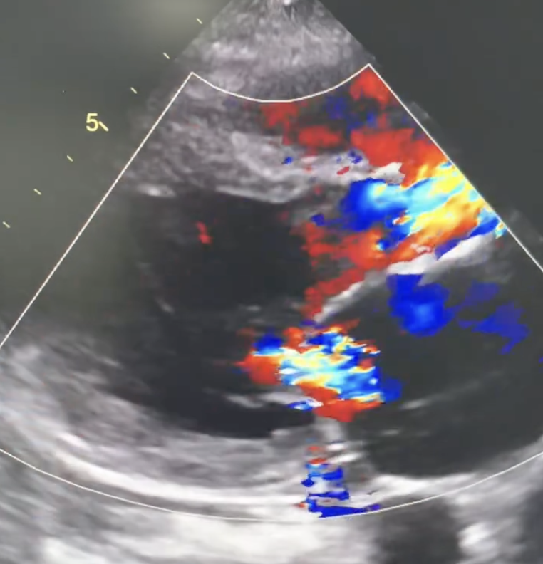 Screenshot 2025-12-05 at 12.44.02 PM